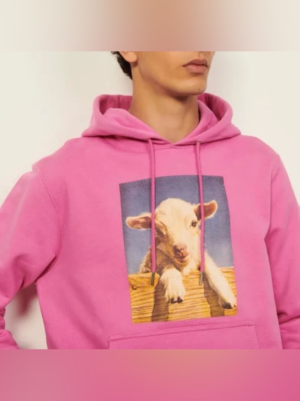 Sandro Paris Pink Organic Cotton Hoodie